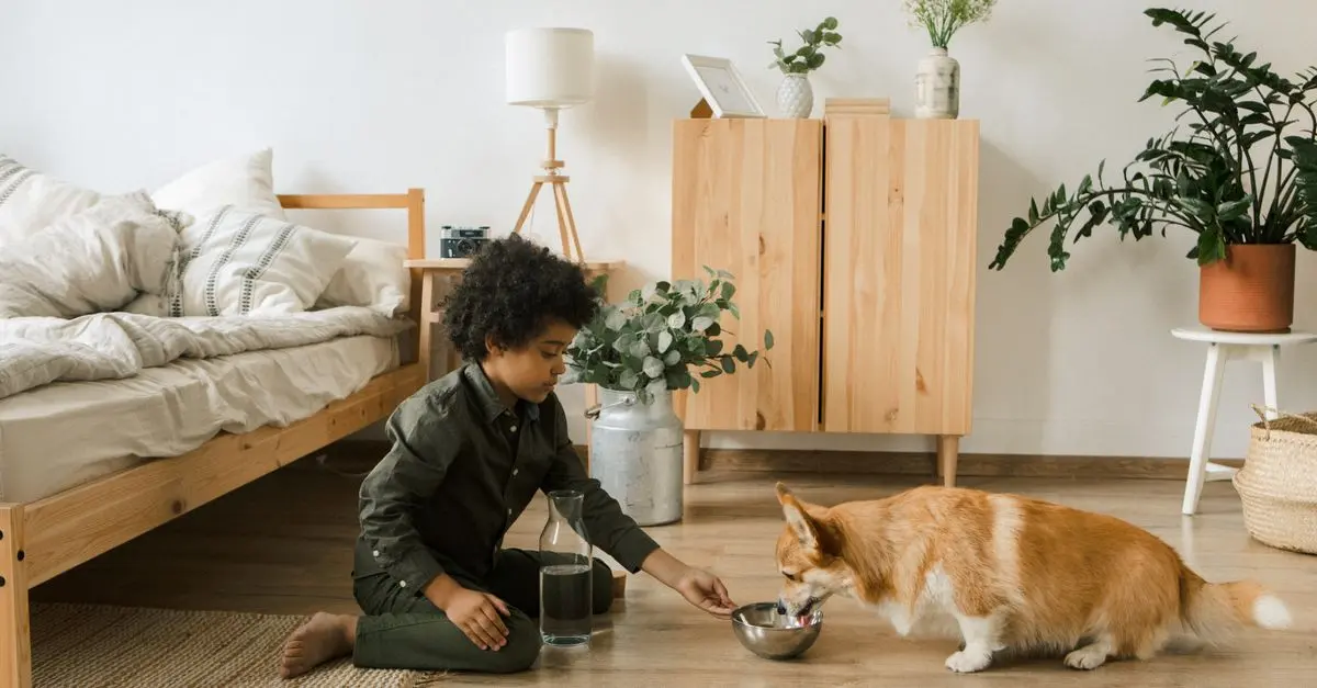Best Pet Feeding Mats: Comprehensive Buying Guide