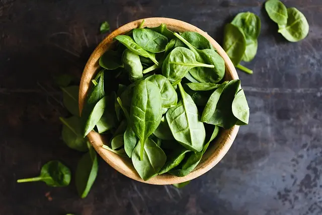 Top Cat Food Brands: Comprehensive Buying Guide